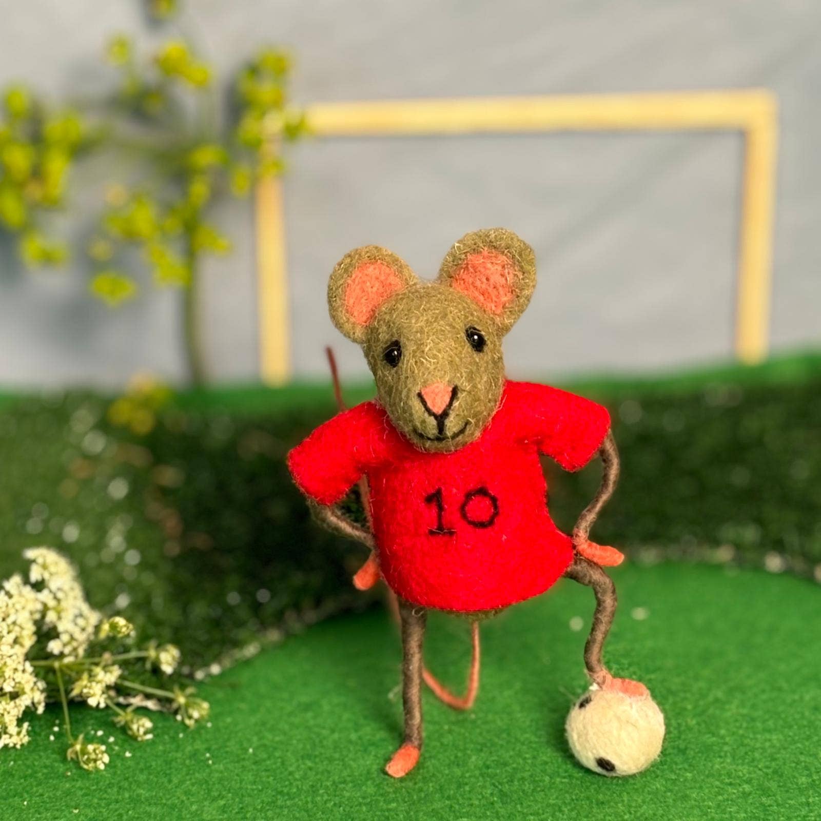 Footballer Mice