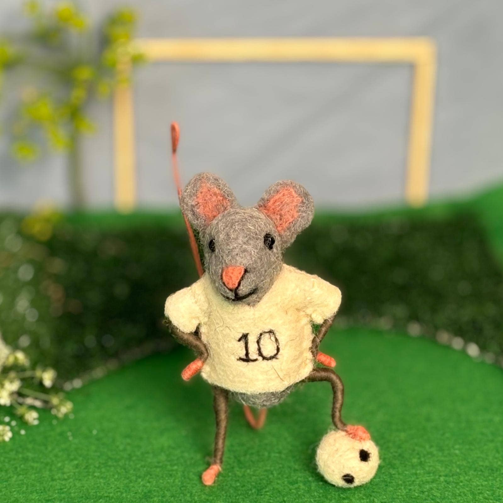 Footballer Mice
