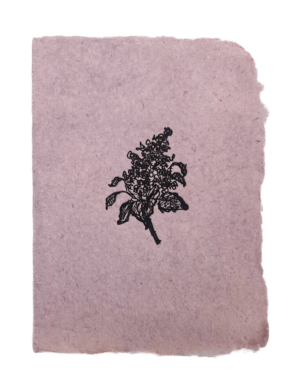 Lilac branch