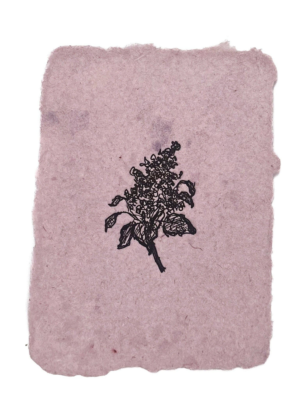Lilac branch
