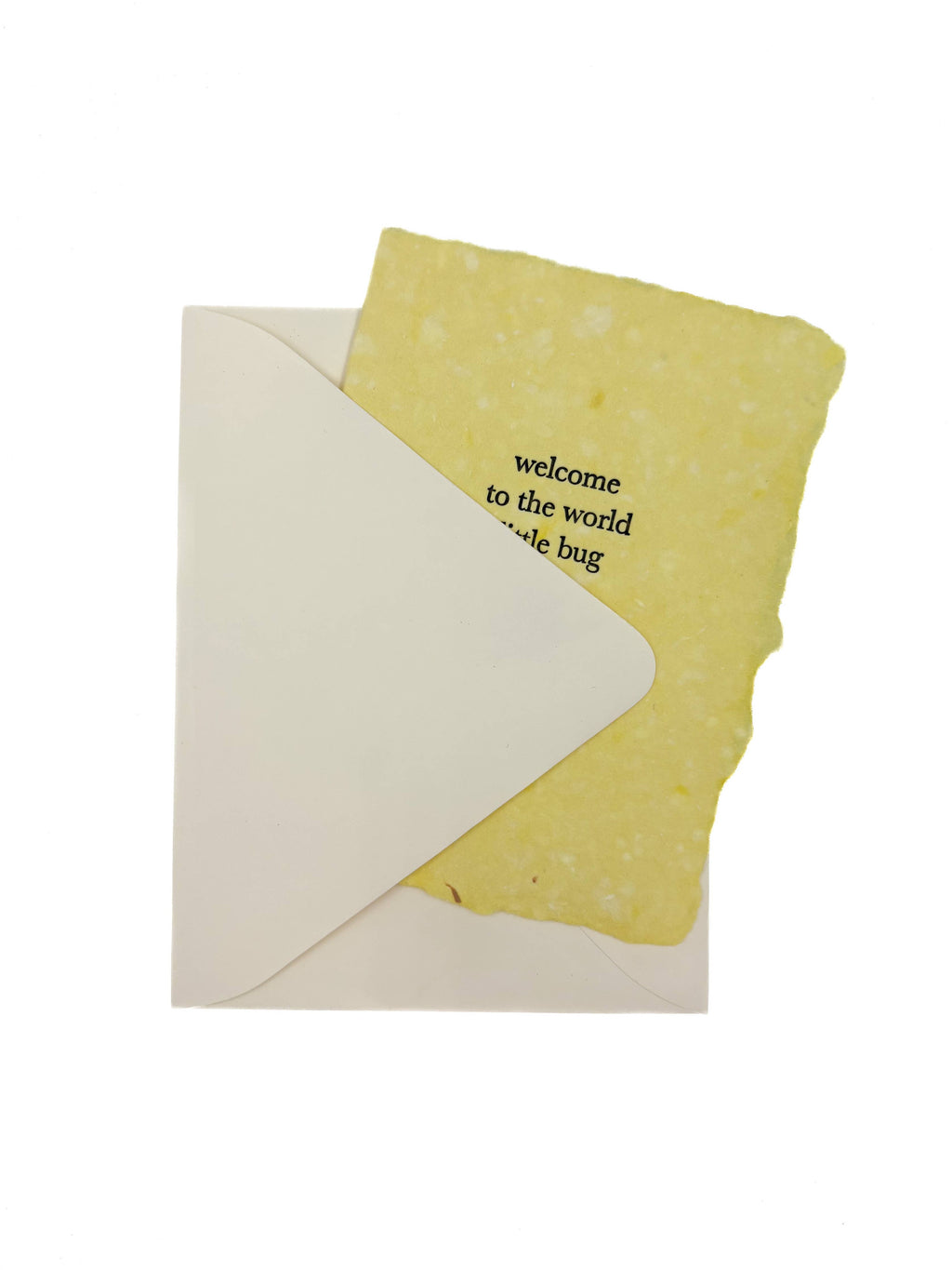 Little bug baby card