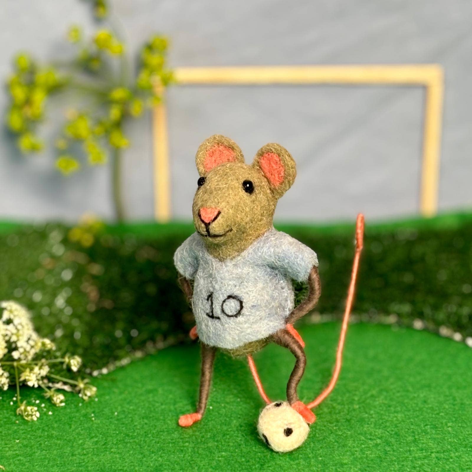 Footballer Mice