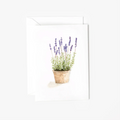 Mini Notecards - Lavender