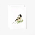 Mini Notecards - Chickadee