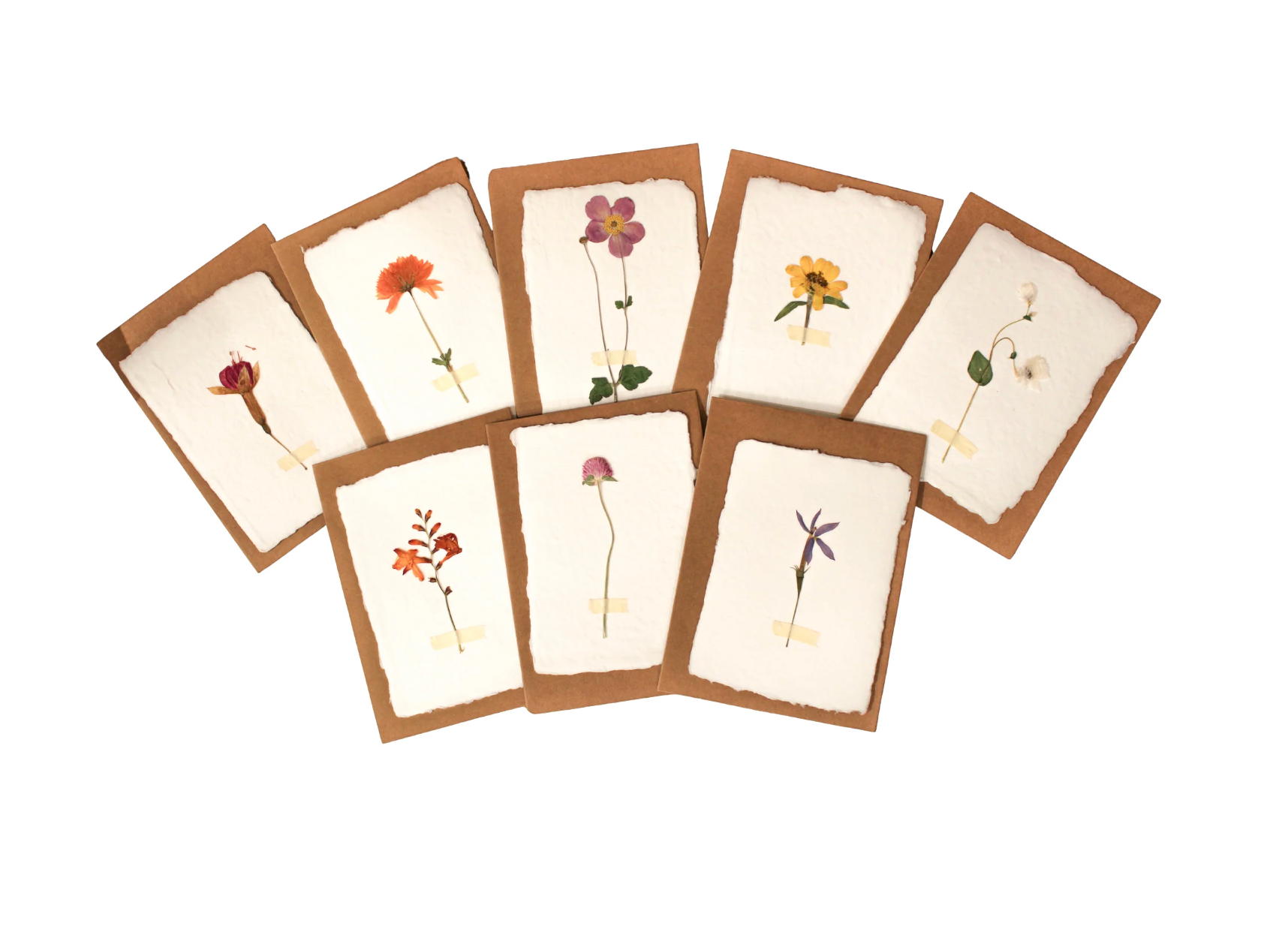 Handmade Pressed Flower Flat Cards