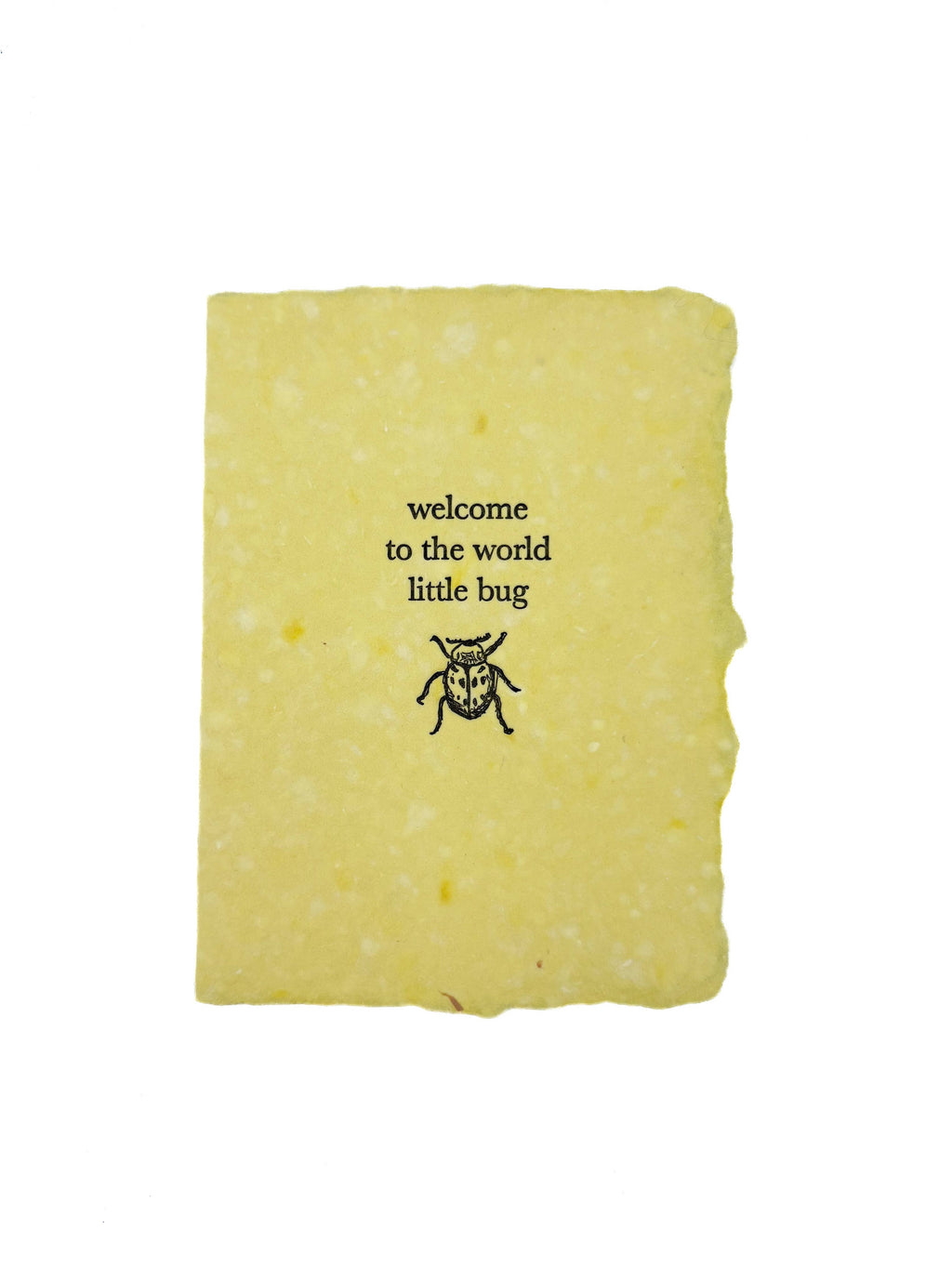 Little bug baby card