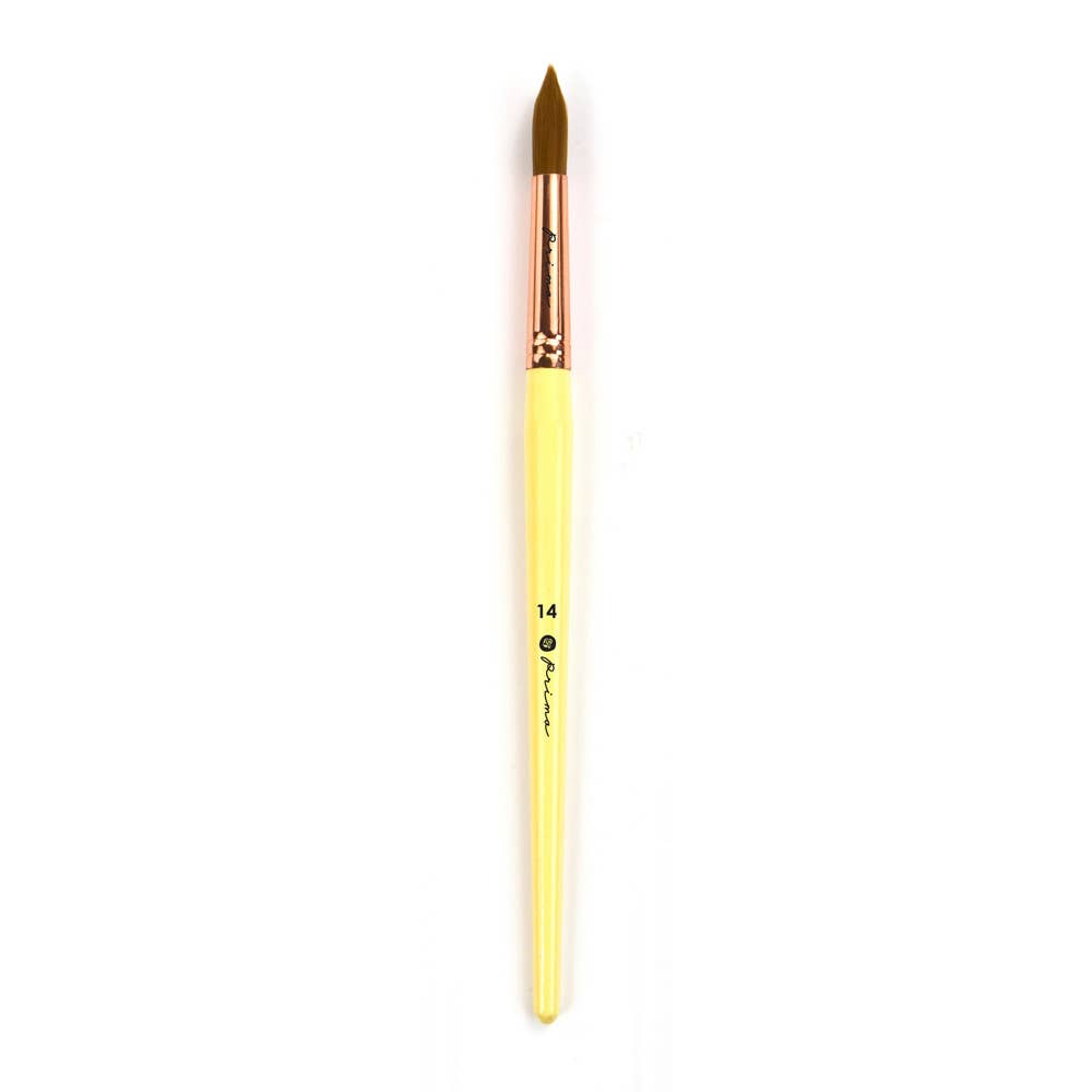 Watercolor Brush Round #14