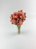 Florals - Globe Amaranth in Rose Pink